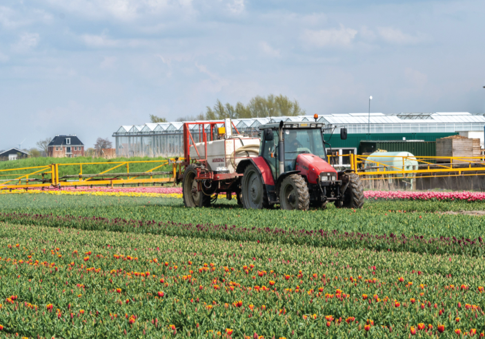 Why a USDA Feasibility Study Matters Before Starting an Agricultural Project